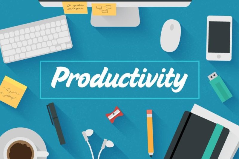 Chicken! What You Can Learn About Productivity From Them