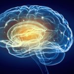 The 9 Types of Intelligence – Everyone has Unique Abilities