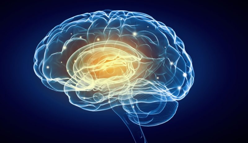 The 9 Types of Intelligence – Everyone has Unique Abilities